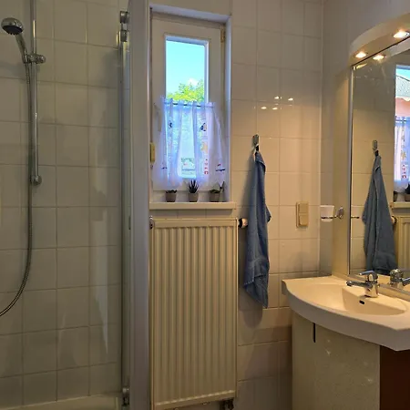 Seehund Und Muschel - Urlaub Mit Hund Neddesitz