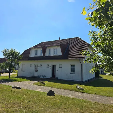 Seehund Und Muschel - Urlaub Mit Hund Neddesitz