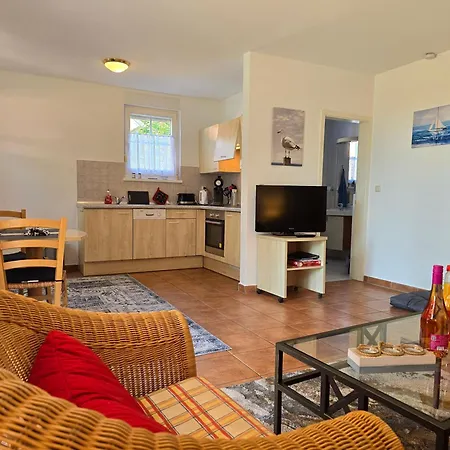 Seehund Und Muschel - Urlaub Mit Hund