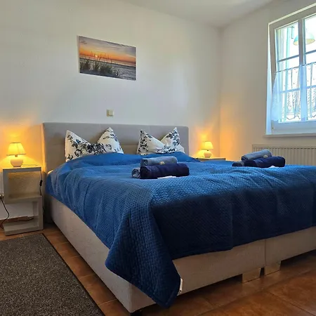 Seehund Und Muschel - Urlaub Mit Hund Apartment Neddesitz