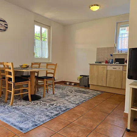 Seehund Und Muschel - Urlaub Mit Hund * Neddesitz