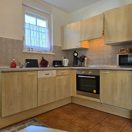 Seehund Und Muschel - Urlaub Mit Hund