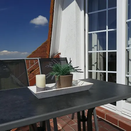 Seehund Und Muschel - Urlaub Mit Hund Apartment Neddesitz