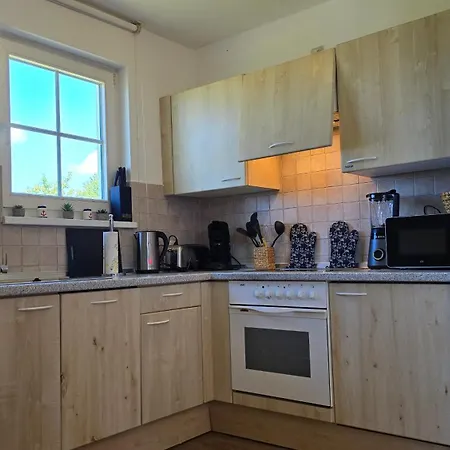 Seehund Und Muschel - Urlaub Mit Hund * Neddesitz