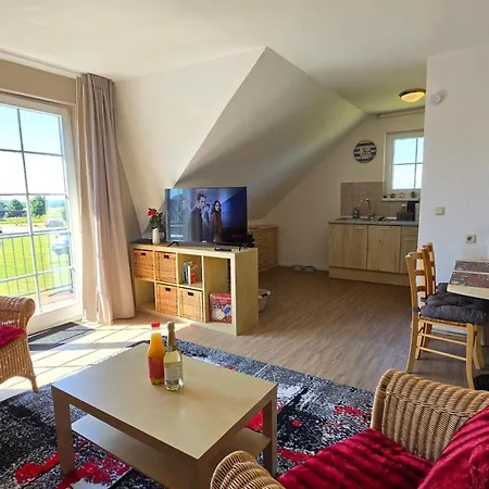 Seehund Und Muschel - Urlaub Mit Hund