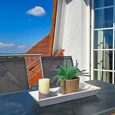 Appartement Seehund Und Muschel - Urlaub Mit Hund Neddesitz
